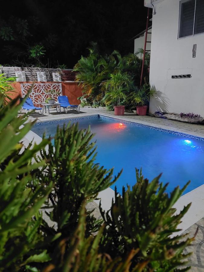 Complejo Villa Las Palmeras Piscina, Billar, Jardin, Bbq @Drvacationsrental Samaná Exterior foto